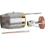 Kit tube flamme, convient pour Riello: Mectron 5M/MR