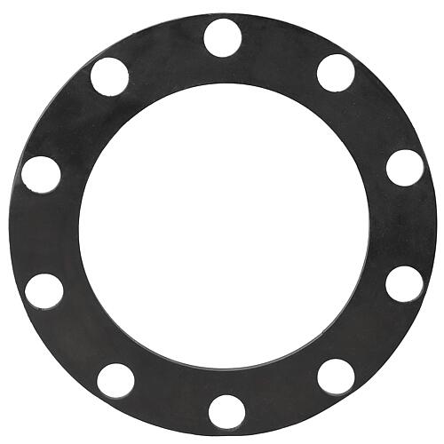 Joint de bride TS 150 Standard 1