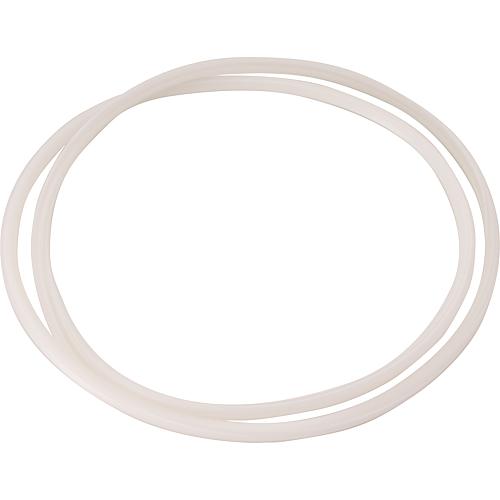 Joint pour collecteur de condensat
• Convient pour Buderus
GB112/142-45, Sieger BK11 W-43 Standard 1