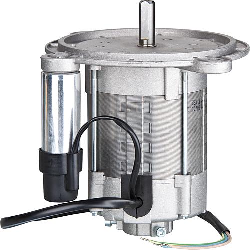 Moteur, convient pour Golling: GLZ 200 Standard 1