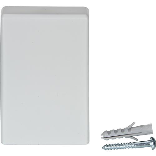 Sonde extérieure Remeha, 804398, convient pour Remeha : régulation Standard 1