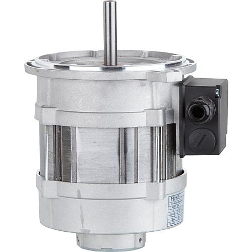 Moteur de brûleur, convient pour Riello: 606T2 Standard 1