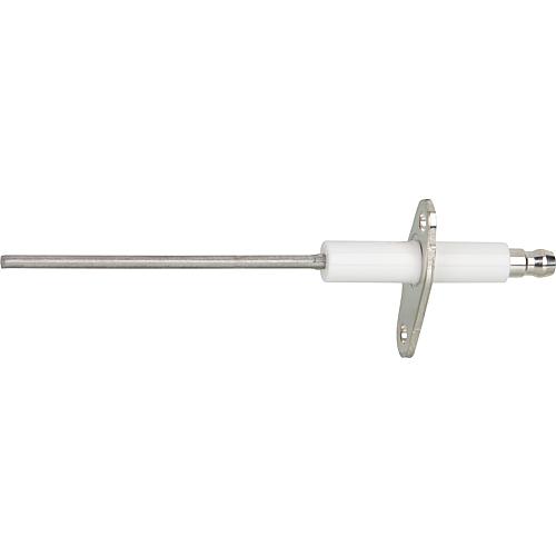 Electrode d'ionisation convient pour Oertli RK 10-34, RKNE 10-35 Standard 1