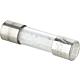 Fusible, convient pour Wolf: R12, R16, R32 Standard 1
