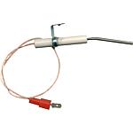 Électrodes d'ionisation