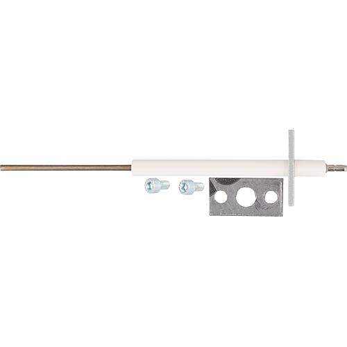 Électrode d'ionisation Standard 1