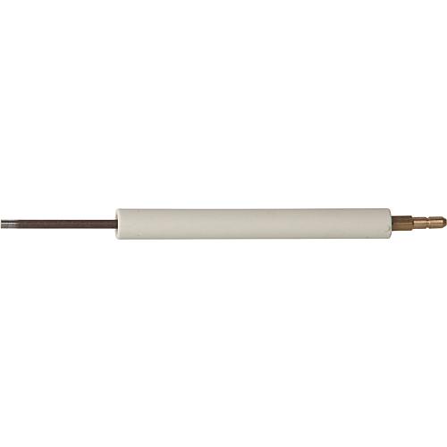 Electrode d'ionisation, convient pour Riello: 551T1 Standard 1