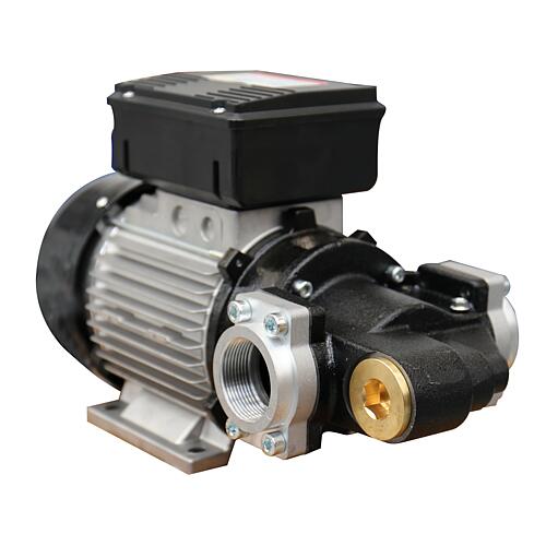 Pompe à palettes ÉLECTRIQUE PA3 200 Standard 1