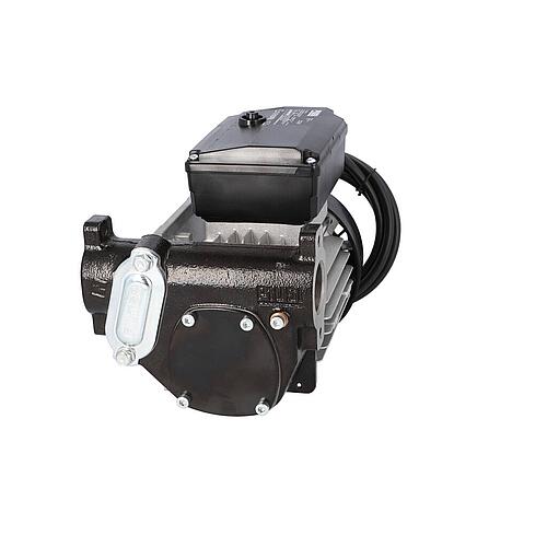 Pompe de rechange pour station de pompage Cube 70 R11527000