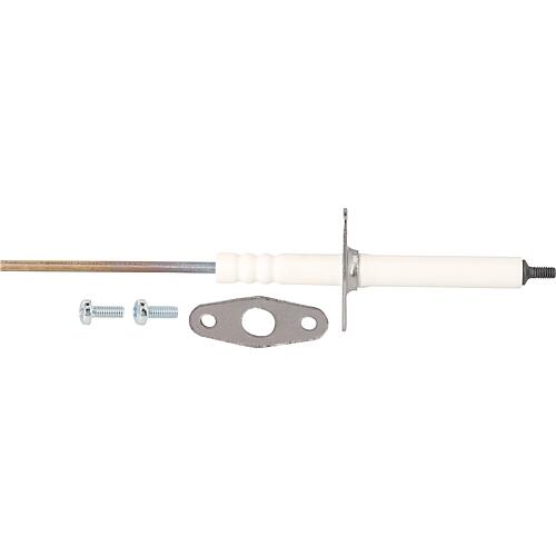 Électrodes de surveillance Standard 1