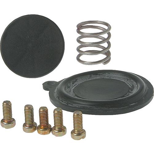 Membrane Standard 1