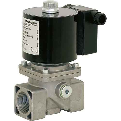 Bobine d'électrovanne de rechange pour électrovanne gaz Standard 1
