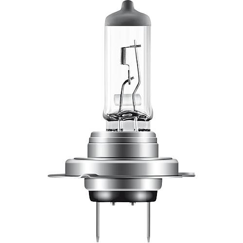 Ampoule halogène H7 pour véhicules Standard 1