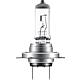 Ampoule halogène H7 pour véhicules Standard 1