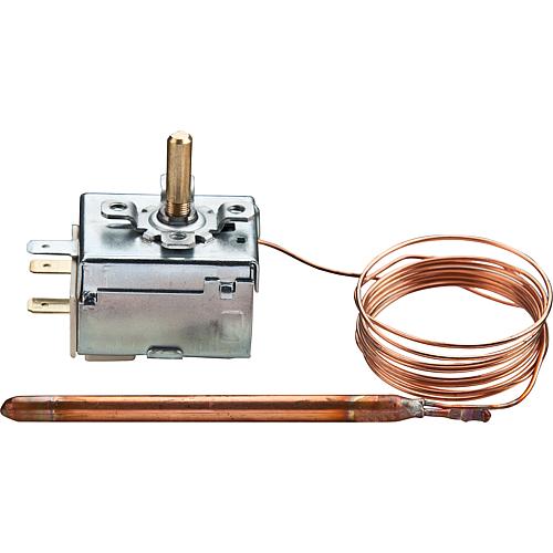 Thermostat à capillaire TR 2 Standard 1