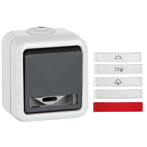 Commutateur contrôle en saillie PEHA IP44, avec symboles D 655 WAB GLK (UE 10)