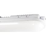 LED-Luminaire pièce humide IP65, 21W, 4000K, 2520lm 60cm