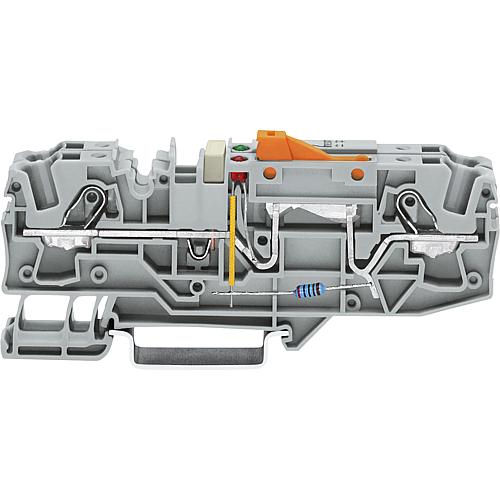 Borne sélectionnable de mise à la terre avec ouverture de test Wago Standard 1