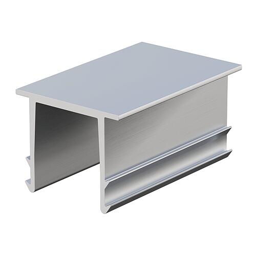 Capuchon 13 pour rail support de système AK