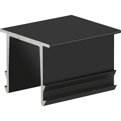 Capuchon 5 noir pour rail support de système AK