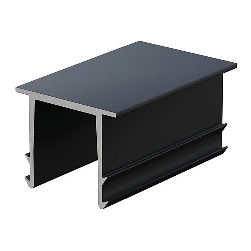 Capuchon 13 noir pour rail support de système AK