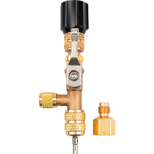 Valve Schrader Standard 1