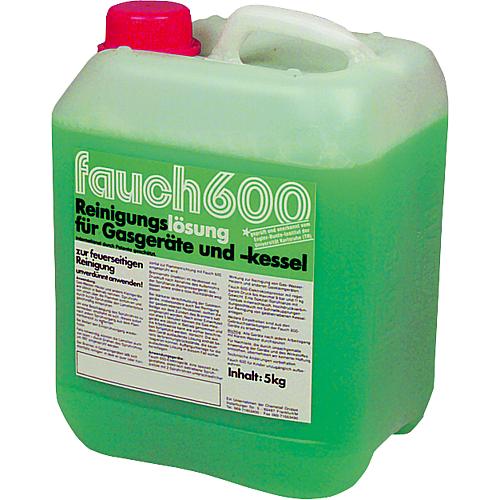 Nettoyant chaudière gaz Fauch 600