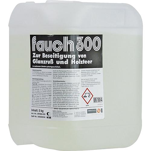 Nettoyant FAUCH 300 Standard 2