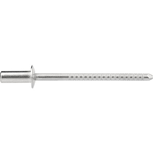 Rivets d´étanchéité en inox  Standard 1