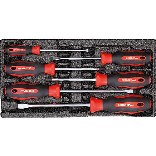 Jeu de tournevis, fente, Phillips, dans un module en mousse 1/3 6 pièces Standard 1