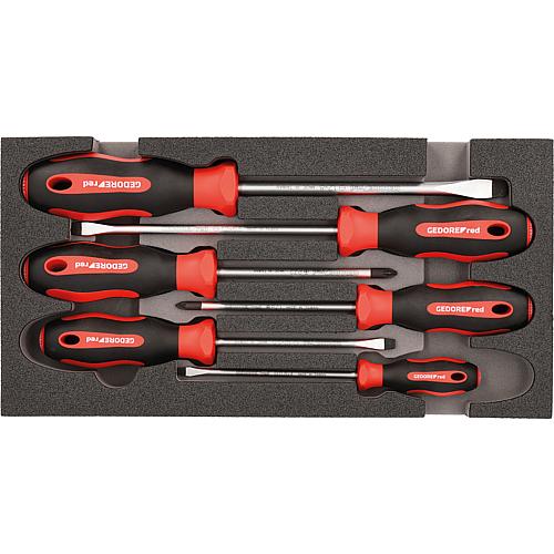 Jeu de tournevis, fente, Pozidriv, dans un module en mousse 1/3 6 pièces Standard 1