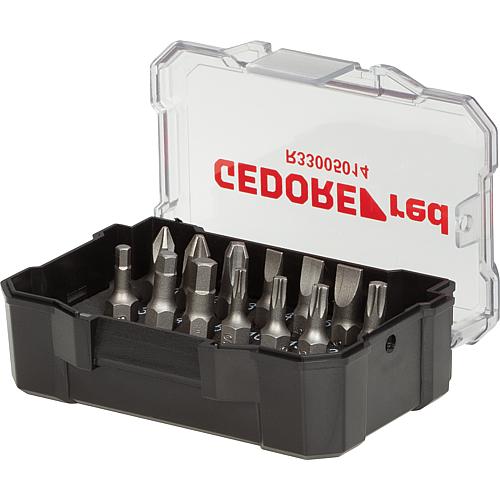 Jeu d'embouts 1/4", à fente, Phillips, Torx®, à six pans creux, 14 pièces Standard 1