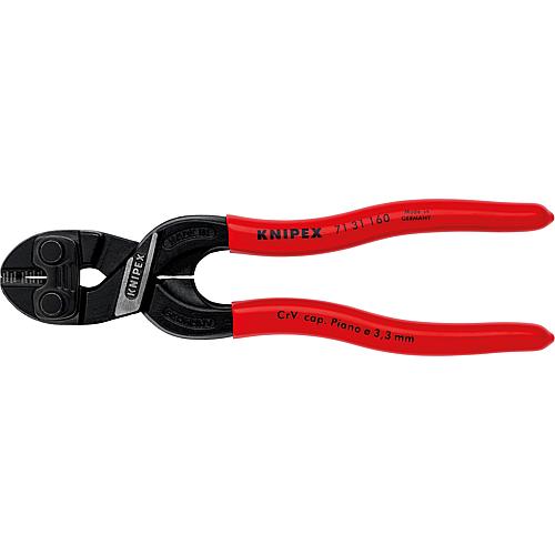 Coupe-boulons CoBolt® avec encoche
 Standard 1