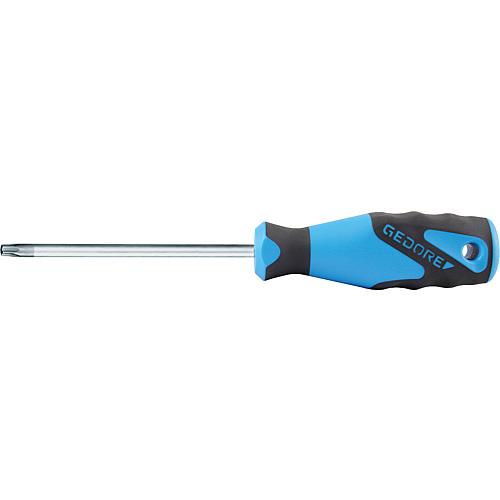 Tournevis TorxPLUS® interne, lame ronde Standard 1