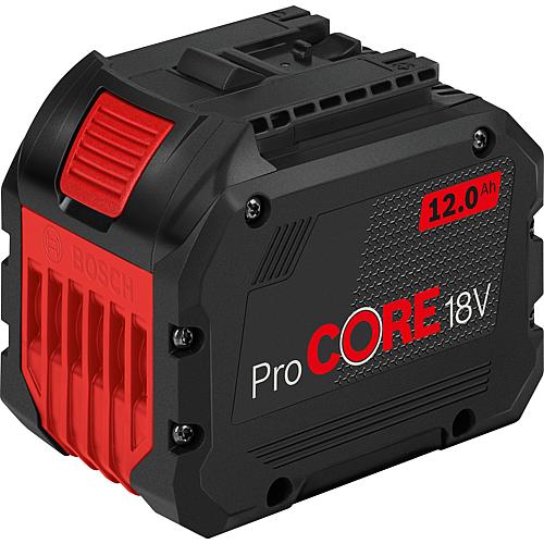 Batterie de rechange Li-Ion Standard 12