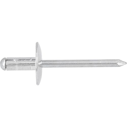 Rivets aveugles PolyGrip alu/acier grande tête Standard 1