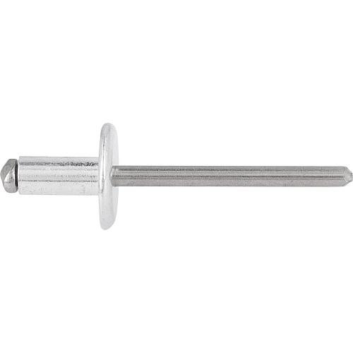 Rivets aveugles alu/acier inoxydable grande tête Standard 1