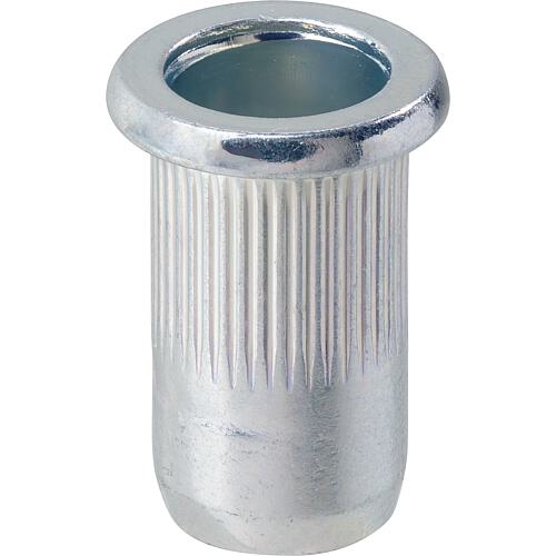 Écrous borgnes en acier gaufré Standard