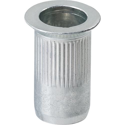 Écrous borgnes en acier gaufré tête fraisée Standard 1