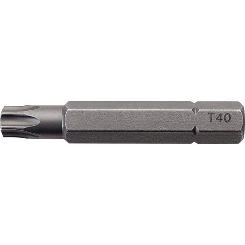 Embout de rechange pour support de fixation vis à bois HECO-PowerLock, T-Drive, T40, 50 mm Standard 1