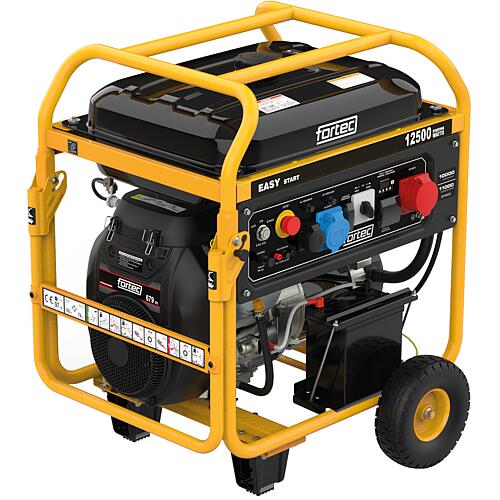 Groupes électrogènes par marques FT60006, 12000 W Dual Standard 1
