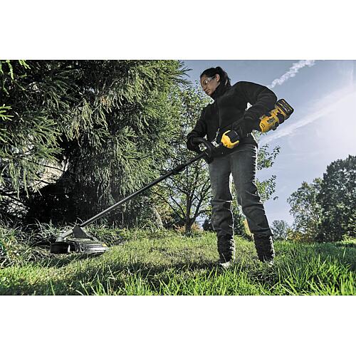 Embout pour coupe-herbe DeWALT DCMASST1N compatible avec le moteur multifonctions sans fil DCMAS5713N (80 240 36) Anwendung 2
