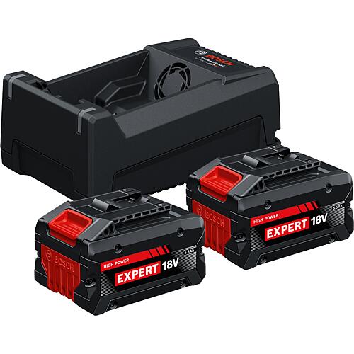 Akku-Set BOSCH 18 V mit 2 x 5,5 Ah EXPERT Akkus und Ladegerät  Standard 1