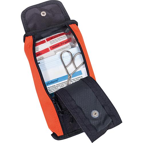 Pharmacie de voyage Traveler Standard 1