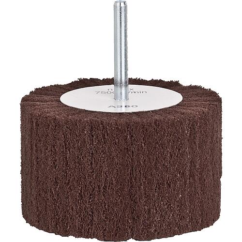 Disque abrasif lamelles/non-tissées avec tige de 6 mm Standard 1