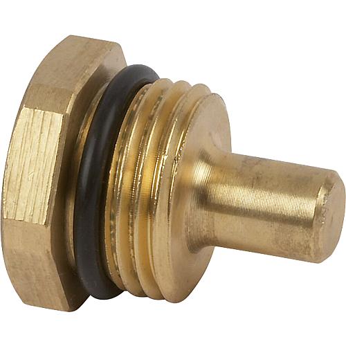 Doigt de gant de rechange DN 15 (1/2") pour thermomètre Standard 1