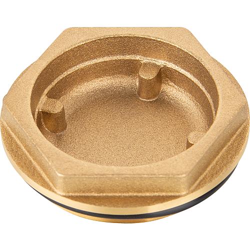 Bouchon de rechange DN 32 (1 1/4"), pou clapet de chargement TERMOVAR en laiton Standard 1