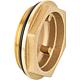 Bouchon de rechange DN 32 (1 1/4"), pou clapet de chargement TERMOVAR en laiton Standard 2