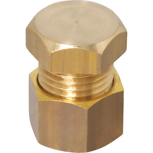 Bouchon de serrage Standard 1