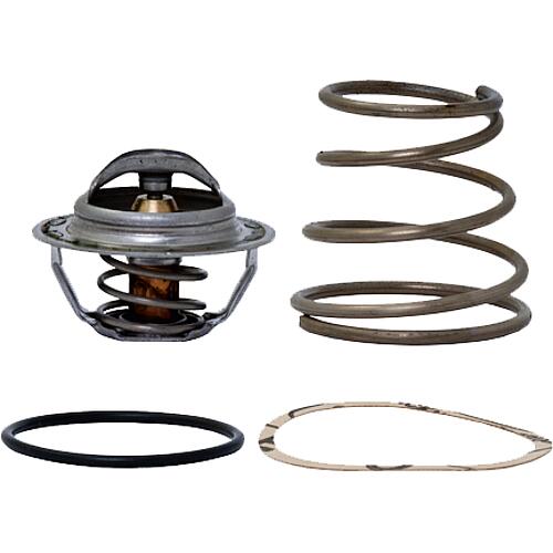 Insert thermique pour vanne thermique Séries TV Standard 1
